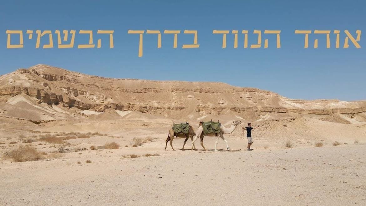 אוהד הנווד | דרך הבשמים - מסלול חדש נפתח בנגב